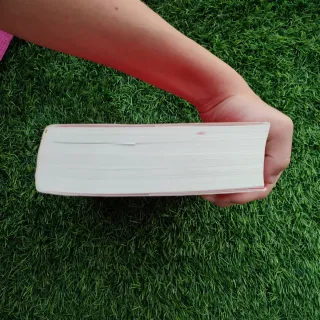 Le Petit Nicolas L'intégrale tome 1