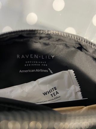 Neceser American Airlines