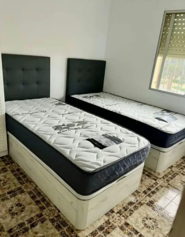 canapes canapes canapes canapes canapes canapes