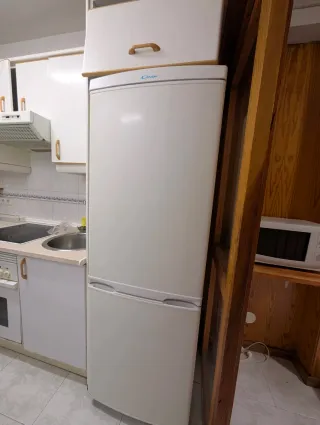 Nevera Candy Combi 180 cm