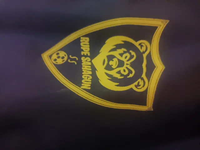 Abrigo Joma azul y amarillo