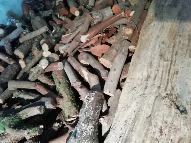 Leña de abeto para venta al por menor