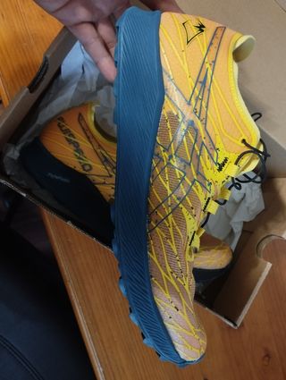 Asics FujiSpeed con placa de carbono