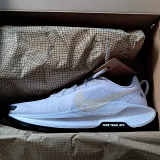 Nike Pegasus Trail 5 Gris Beige