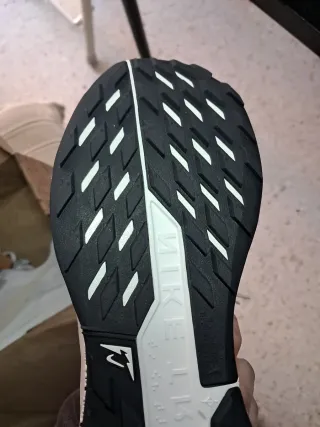 Nike Pegasus Trail 5 Gris Beige