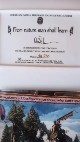 6 Piatti da Collezione Franklin Mint