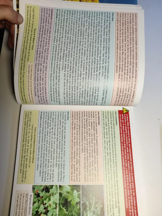 Bienaventurada la maleza porque ella te salvará...