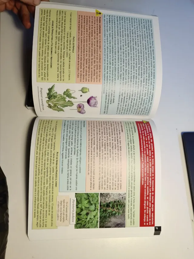 Bienaventurada la maleza porque ella te salvará...