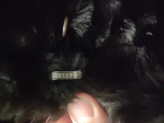 Abrigo Piel Mutón Negro Escucho ofertas