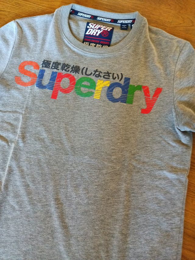 Camiseta Superdry Logo Multicolor Gris