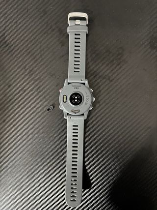 Garmin Forerunner 255 Gris