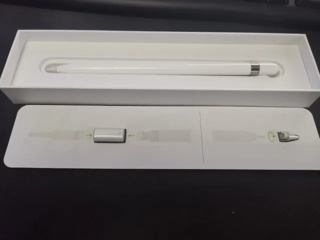 Apple Pencil per iPad