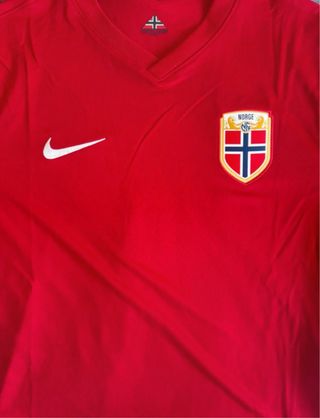 Camiseta Nike Noruega Talla M