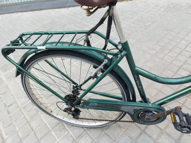 Bicicleta Paseo Urbana Verde