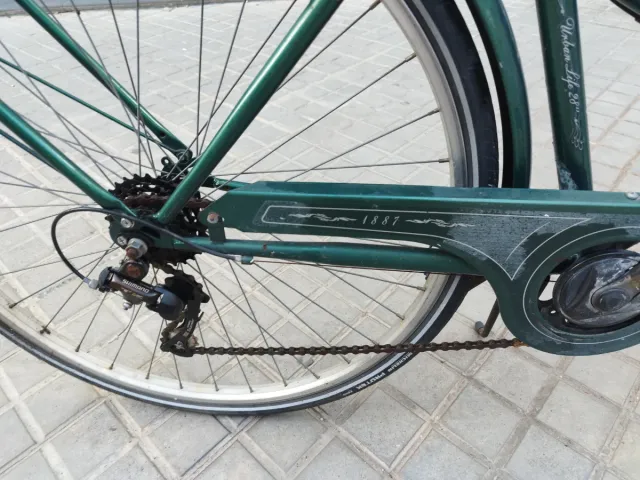 Bicicleta Paseo Urbana Verde