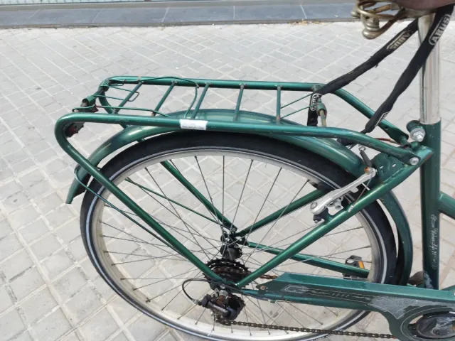 Bicicleta Paseo Urbana Verde