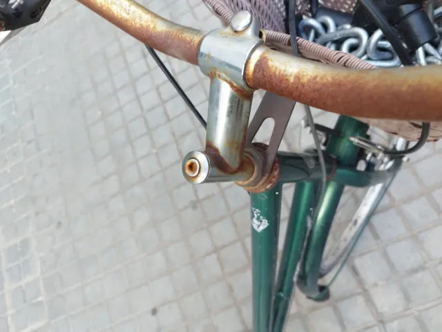 Bicicleta Paseo Urbana Verde