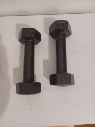 2 Pesas de 2 kg