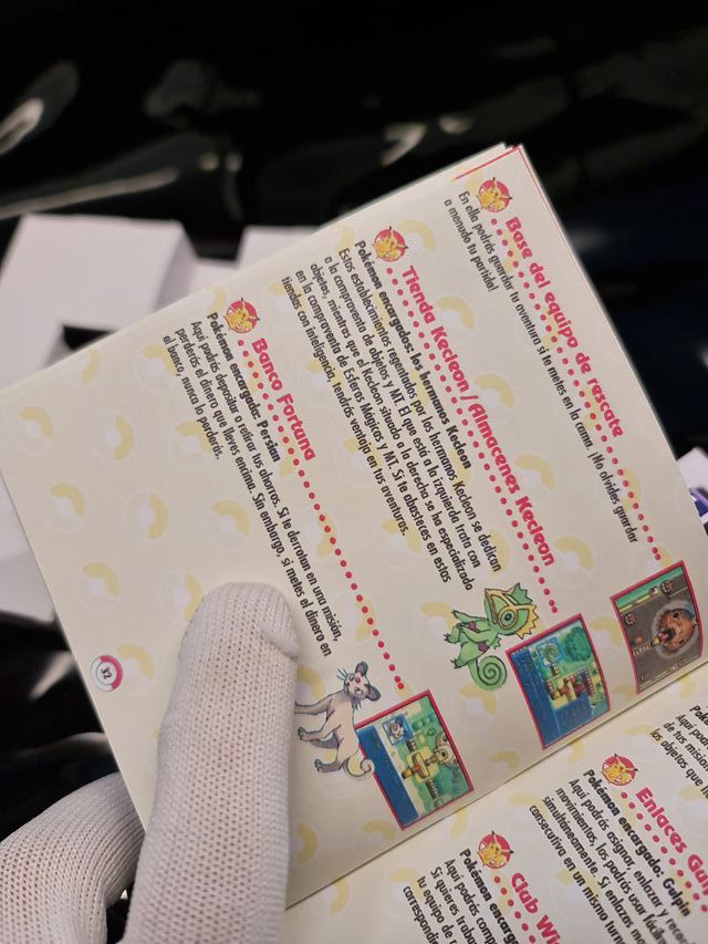 Manual Reemplazo Pokémon Mundo Misterioso GBA