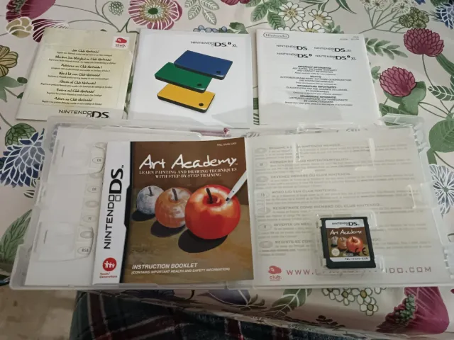 Nintendo DS Art Academy Gioco