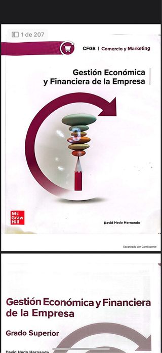 Gestión económica y financiera de la empresa