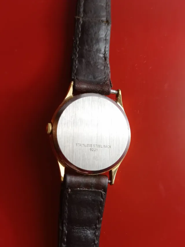 Reloj Festina Mujer Correa Marrón y Detalles Dorad