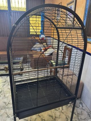 Jaula loro