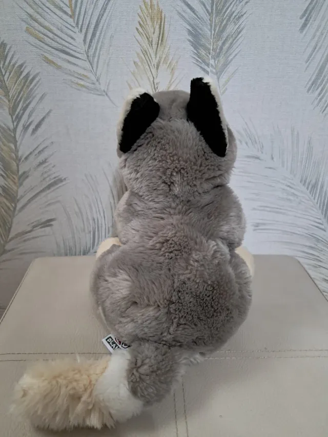 Peluche Lobo Gris, beige y Blanco, altura 24 cm