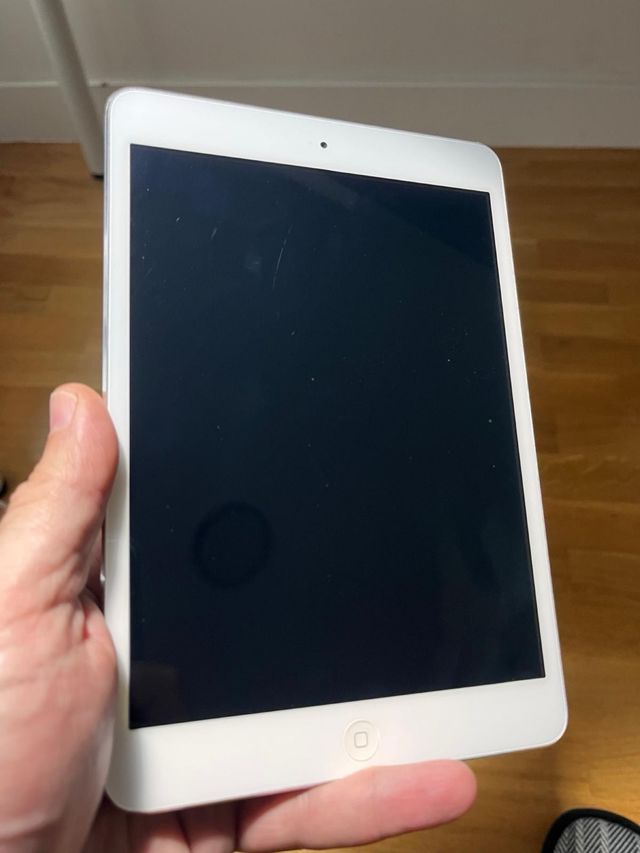 iPad mini gris