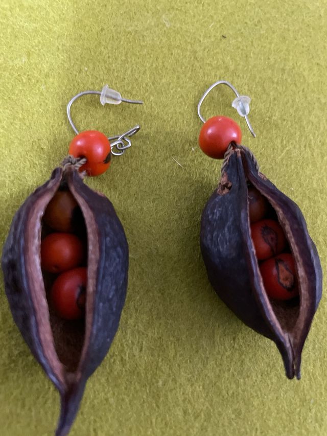 Pendientes Artesanía Colombiana Semilla