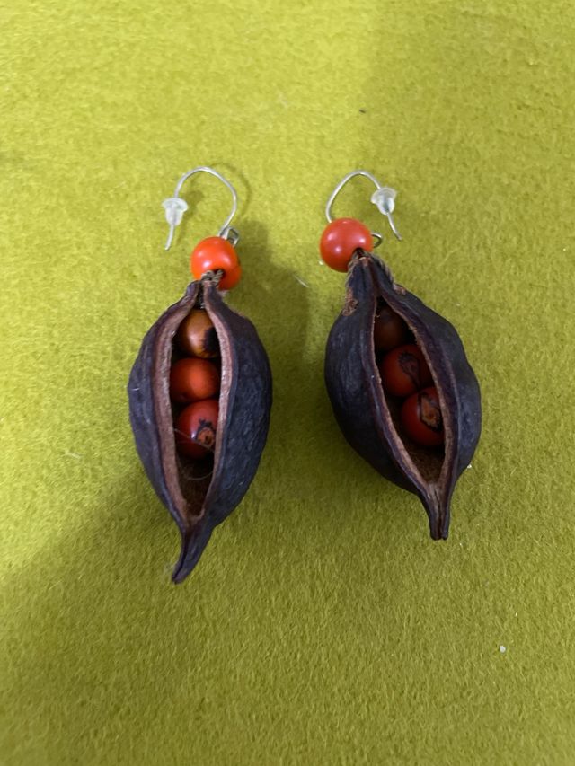 Pendientes Artesanía Colombiana Semilla