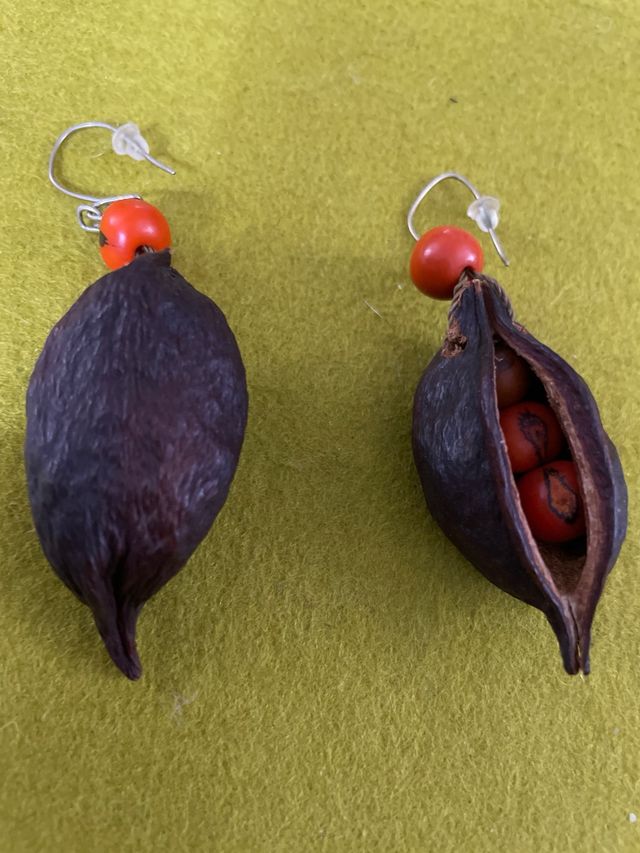 Pendientes Artesanía Colombiana Semilla