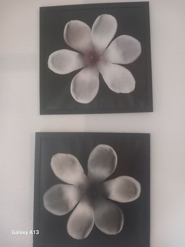 2 láminas flores a juego