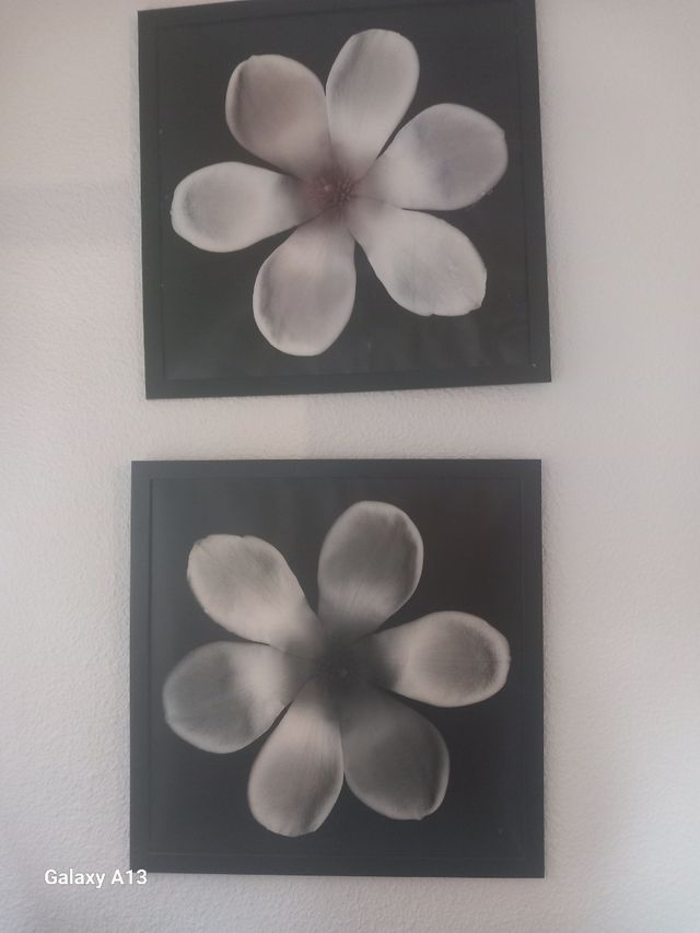 2 láminas flores a juego