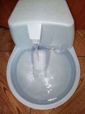Fuente de agua para mascotas Drinkwell