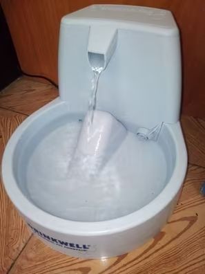 Fuente de agua para mascotas Drinkwell