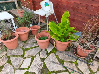 Piedra pizarra y piedra blanca para exterior.