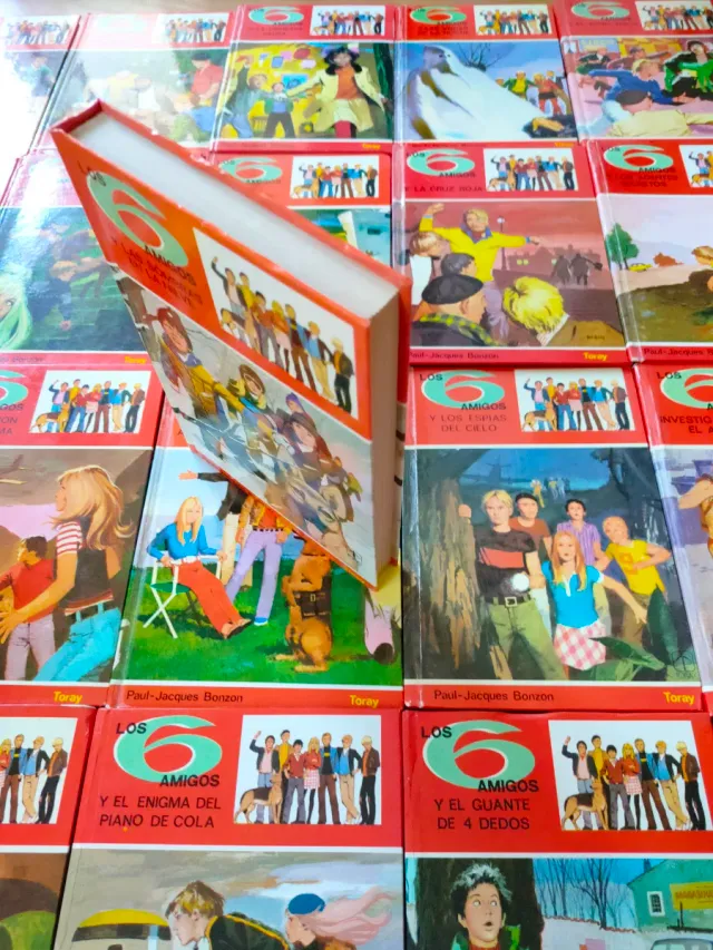 Colección libros "Los 6 amigos"