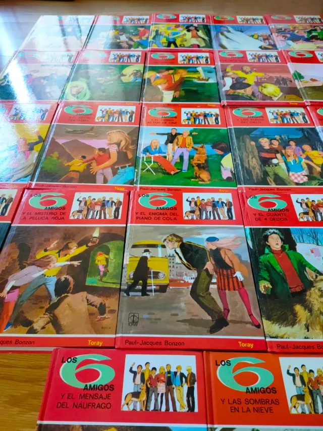 Colección libros "Los 6 amigos"