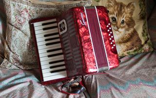 Acordeón Guerrini de 12 bajos