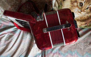 Acordeón Guerrini de 12 bajos