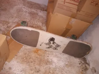 ARTÍCULO RECOMENDADO PARA USO DE CARNAVAL