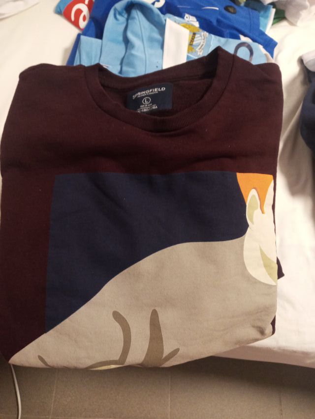 Sudaderas varias marcas Springfield, Zara, cos