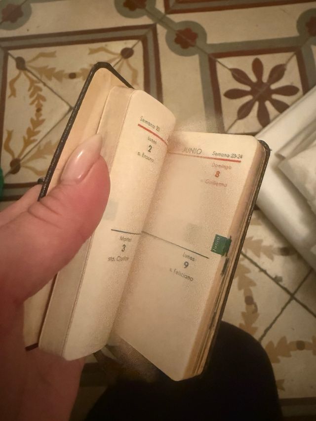 Diario Vintage 1969 Nuevo