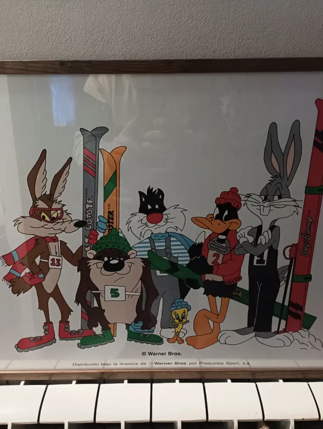 Quadro Looney Tunes Sci