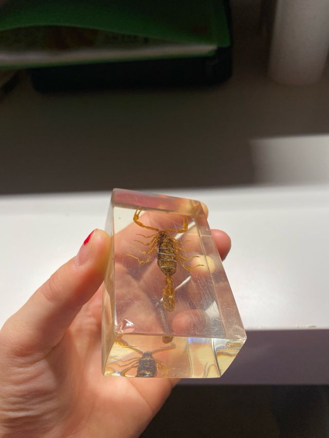 Escorpión en Metacrilato