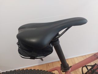 Bicicleta Liv Mujer MTB