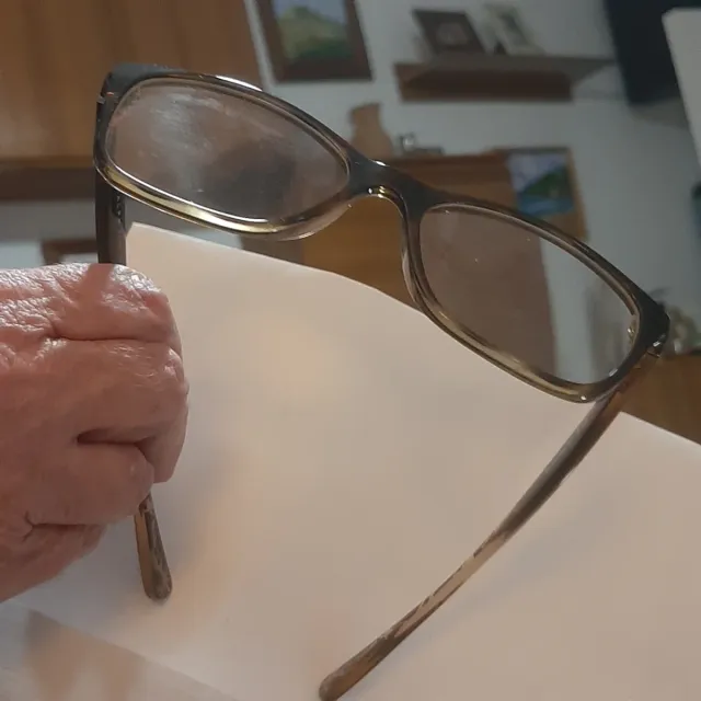 Gafas Ralf Negras y Marrones originales