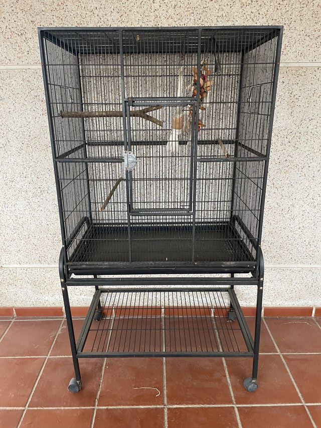 Jaula grande para pájaros negra