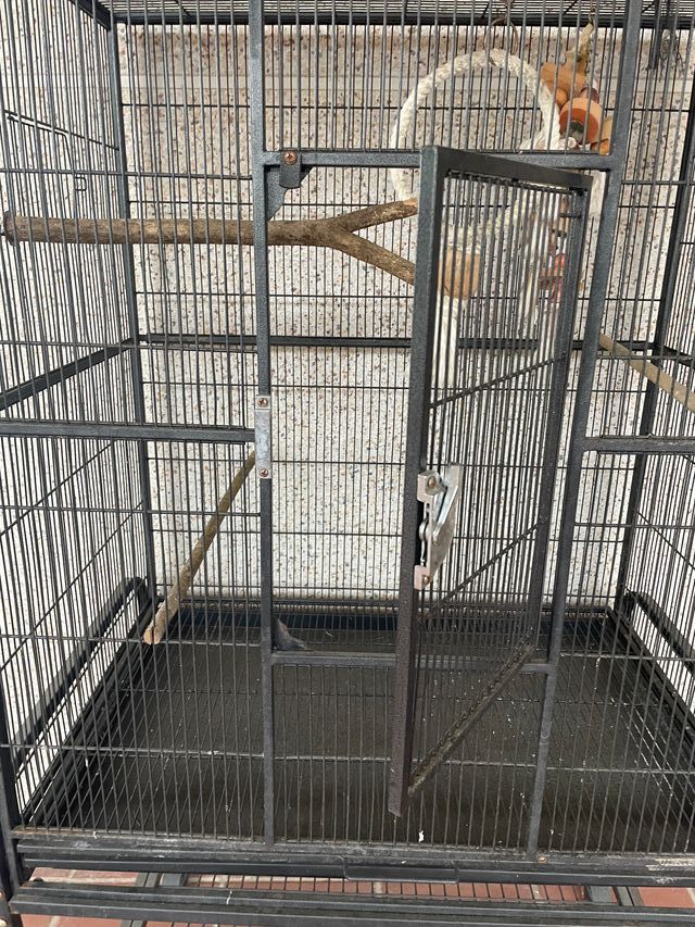 Jaula grande para pájaros negra